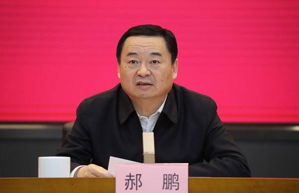 郝鵬、國資、央企、國資委、書記、主任、國企、企業(yè)改革